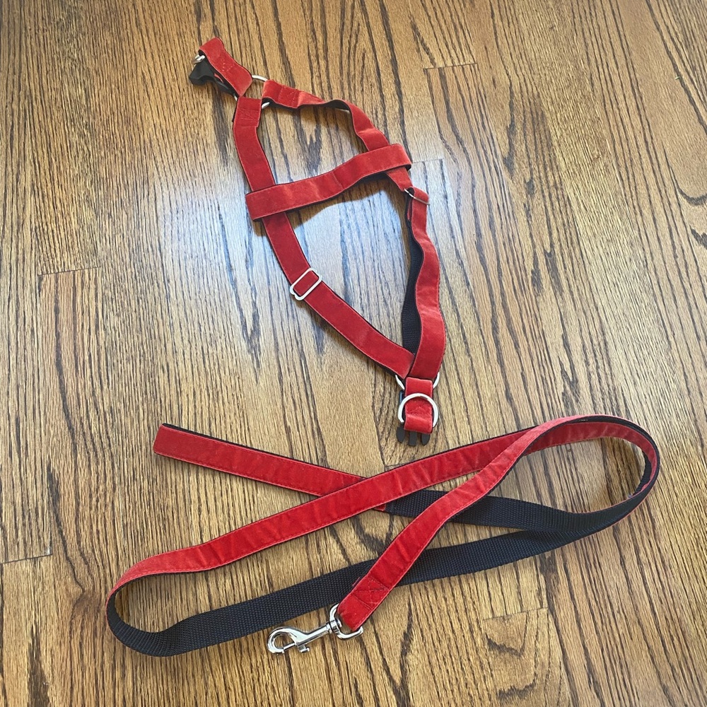 Red Velvet Dog Leash & Step In Harness (NWOT)
